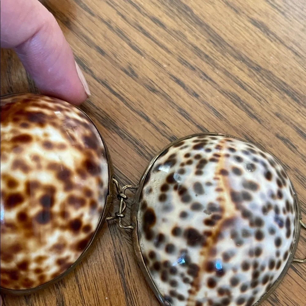 Polished Speckled Shell Trinket Box